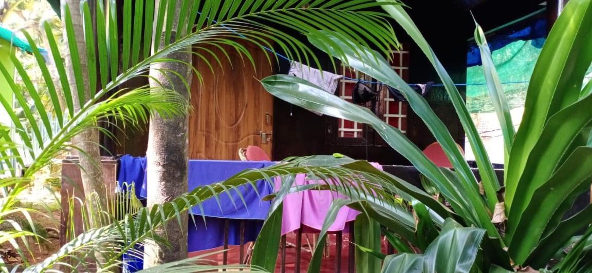 Casa Fiesta Hotel Palolem Luaran gambar